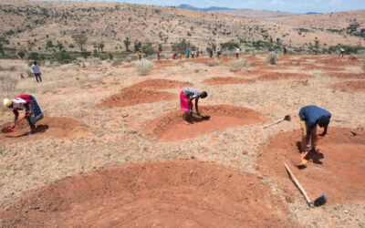 Degradación del suelo agrícola afecta a 1700 millones de personas