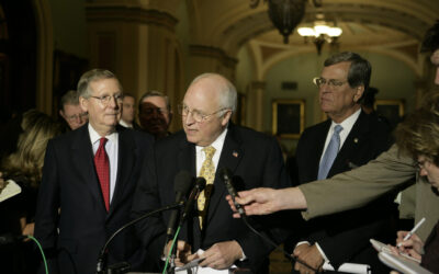 What Do Vice Presidents Do?