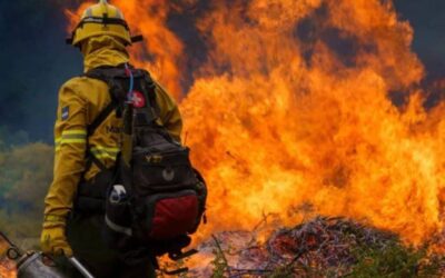 El negocio del fuego