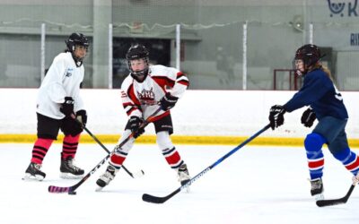 Private Equity’s New Venture: Youth Sports