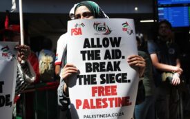 I Tried to Deliver Aid to Gaza. Israel Kidnapped and Tortured Me.