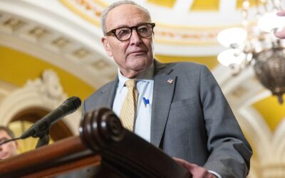 Democrats Caved in the Shutdown Fight. Unions Let Them.