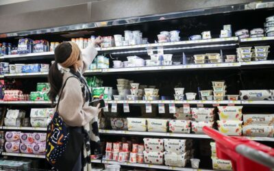 How Public Groceries Can Make Food Affordable Again