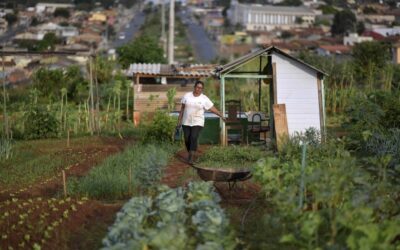 Um Manifesto das Periferias pela Justiça Climática