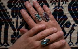 A Fired Federal Worker Finds Refuge in Mexico