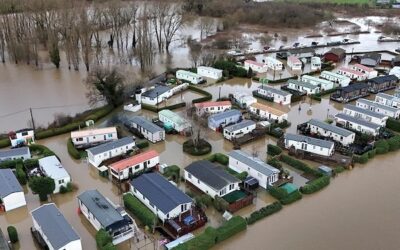 Why communists should care about the environment