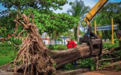 Two victories for Cuba, for life