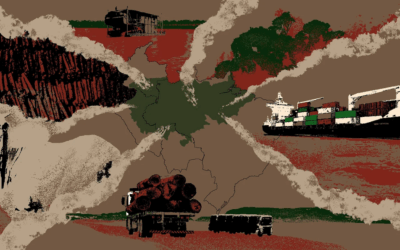 COP30: Guia para não cair em ladainhas verdes do agro