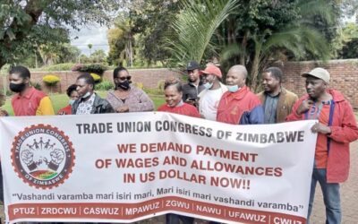 Zimbabwe: UFAWUZ Pickets Nestlé, Demands Living Wages