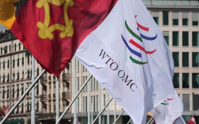 WTO, G20, and the future of economic multilateralism
