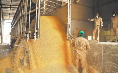 México: importación de granos alcanza cifra récord