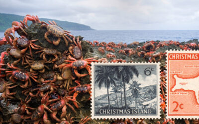 Google on Christmas Island: Data Centres and Imminent Militarisation