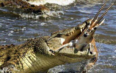 Acuerdo del amo y el esclavo