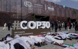 Backsliding in Belém