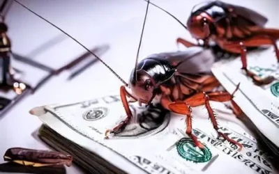 La deuda y las cucarachas