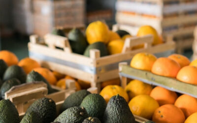 Productos agrícolas chilenos ingresarán a EEUU con arancel cero