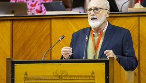 El Parlamento andaluz acepta la ILP por la sanidad pública, pero no podrá tramitarse antes de las elecciones