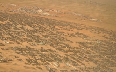 Sudan: Bloodbath Visible From Space: RSF’s Massacres in El Fasher