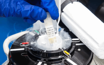 Argentina | Todos los detalles de la nueva vacuna del CONICET para tratar el cáncer de piel