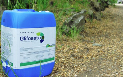 Glifosato: fraude científico, ganancia multimillonaria y demandas sin fin