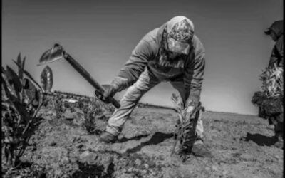 The power imbalance at the root of the H-2A Farmworker Visa program