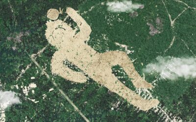 Literatura: Desejo, sonho e perplexidade