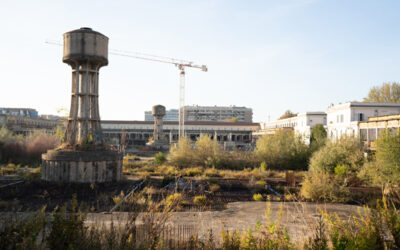 I rischi di un’economia basata sul cemento 