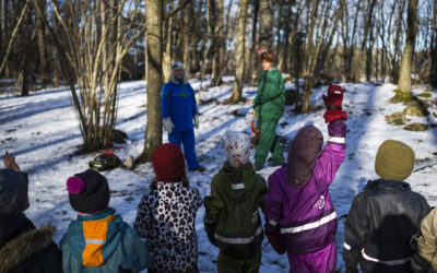 Il bello e il brutto delle scuole nel bosco