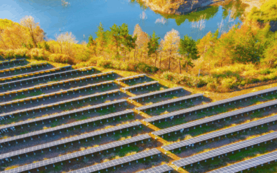 Le notizie di scienza del 2025 secondo Science