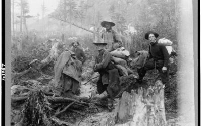 La via dell’oro di Jack London