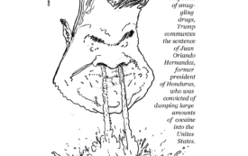  “I Am a Citizen”