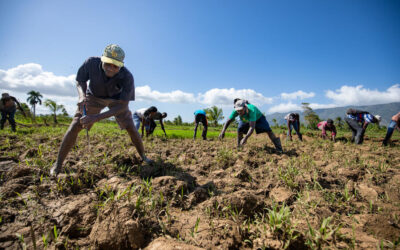 La otra ocupación: misiones de paz en Haití como forma de control – Por Sandra Kanety Zavaleta 