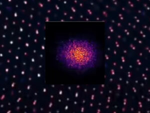 Seeing Heat: How We Learned to Photograph the Hidden Vibrations of Atoms in 2D Materials