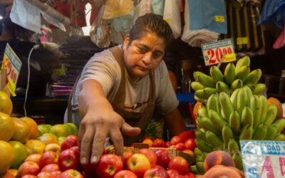 Moderada recuperación del empleo en América Latina