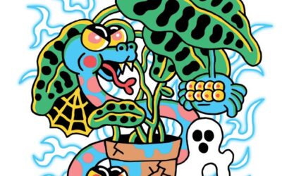 No War but Artisanal Doughnut War