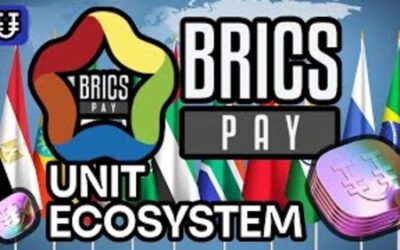 Que es “The Unit” y porqué es importante para los BRICS+