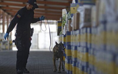 Ecuador| Proyecto de Denuncia de la Corrupción y el Crimen Organizado presentó un informe que revela vínculos de empresa familiar de Noboa con tráfico de cocaína a Europa