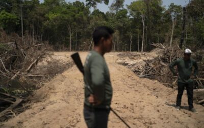 Ensaio sobre a interiorização do crime organizado