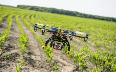 Agricultura de Nueva Fase – Por Matías Strasorier y Maria Rizzo