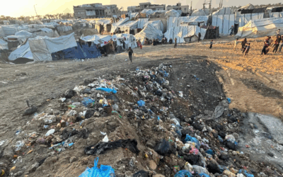 Apocalipsis ambiental