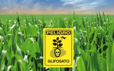 Retractan estudio de Monsanto sobre glifosato