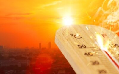 Deadly heatwaves will intensify for 1,000 years after net zero