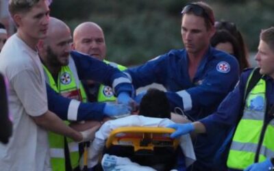 Claro, la culpa es de la convivencia