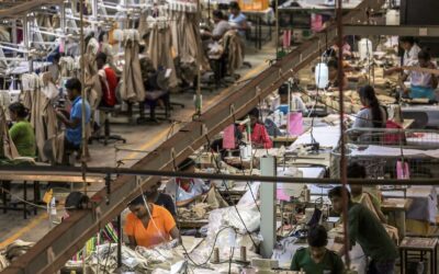 Sitting Targets: Negligence & Occupational Risk in Sri Lanka