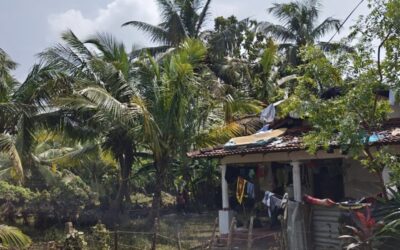 Sri Lanka: Causes & Consequences of ‘Most Challenging’ Natural Disaster