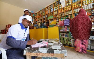 Somalia, US relations hit new low as Washington pauses aid to government