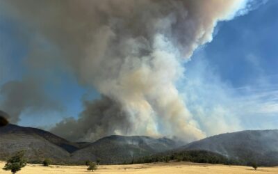 Incendi catastrofici nello stato di Victoria, in Australia