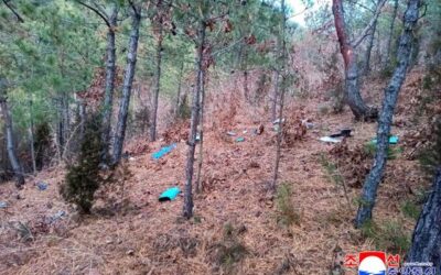 North Korea’s Kim Yo Jong urges South Korea to investigate drone incidents