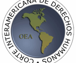 The RELE-CIDH 2025 Report: A Mirror of Freedom of Expression in Chile from the Voice of a Repressed Journalist