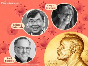 Guardians of balance: The 2025 Nobel Prize in Medicine and hope against autoimmune diseases
